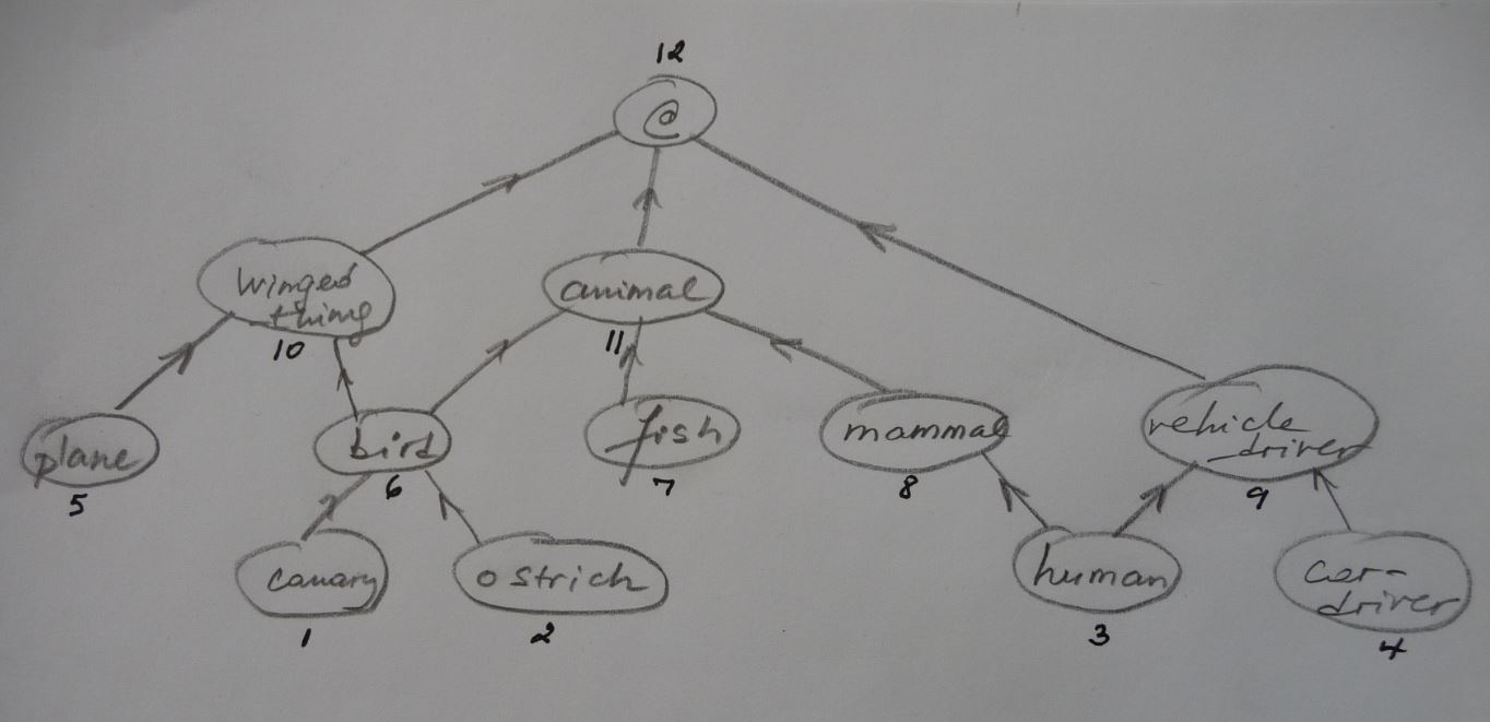 ./taxonomy.JPG